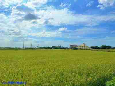 售永豐農建農地+建地2,800萬