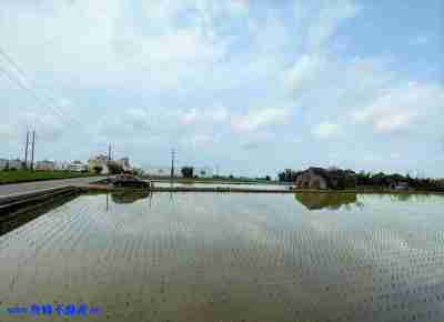 售外埔路大面寬農地農地1.4億