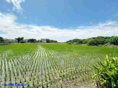 售成功路旁都內美田農地1,758萬