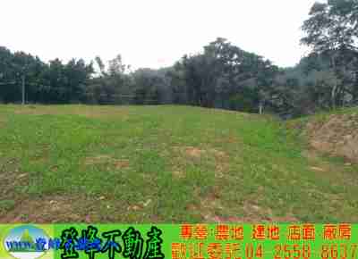 售苑裡丙建A區建地1,630萬